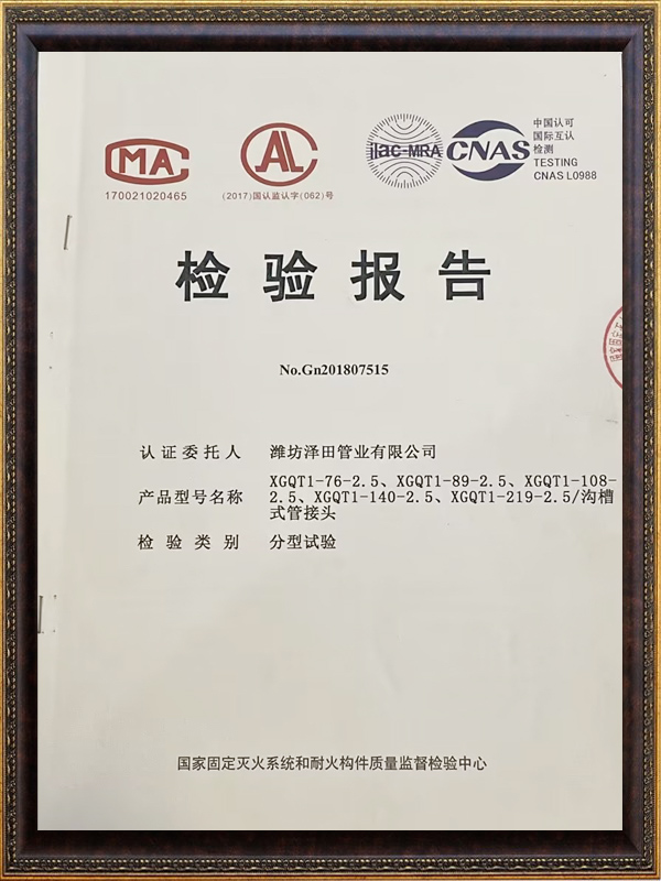 檢驗(yàn)報(bào)告