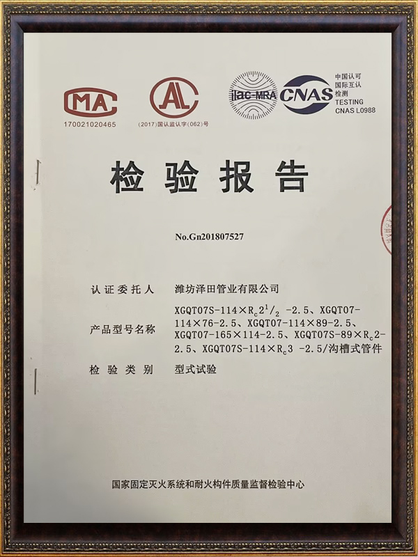 檢驗(yàn)報(bào)告